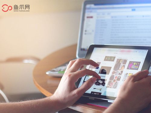 魚爪網(wǎng)的堅(jiān)持與發(fā)展 個(gè)人互聯(lián)網(wǎng)服務(wù)的匠心之路